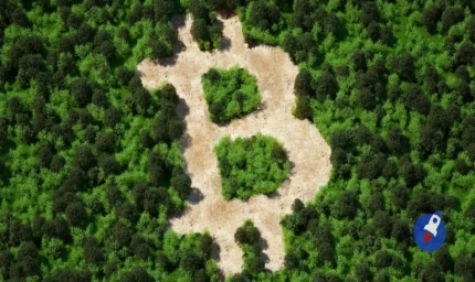 Bitcoin madenciliği yakında ABD'de yasaklandı mı? Beyaz Saray tehdit ediyor