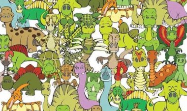 Fotoğrafta saklanmış bir kaplumbağa bulunuyor! Sadece IQ'su 130'un üzerinde olanlar onu görebilir! Bulabilecek misiniz?