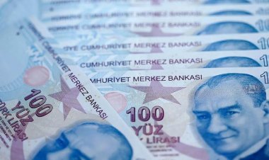 Hibe Desteği İle 300 Bin TL Verilecek! Kimler Bu Desteklerden Yararlanabilecek?