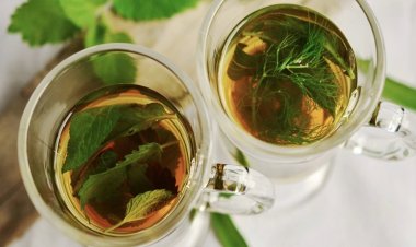 Hafıza ve Konsantrasyon Sorununuz Varsa Bu Bitkiyi Koklayın!